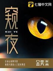 窺夜 窺夜