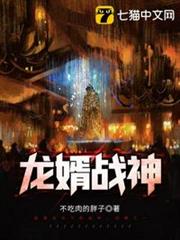 龍婿戰神 龍婿戰神