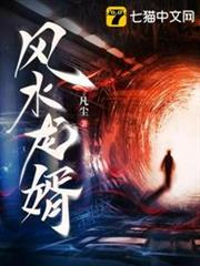 風水龍婿 風水龍婿