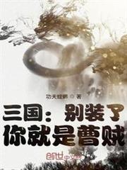 三國:別裝了,你就是曹賊 三國:別裝了,你就是曹賊