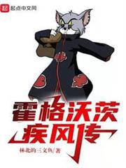 霍格沃茨疾風傳 霍格沃茨疾風傳