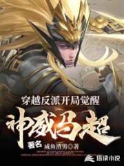 穿越反派的我融合武靈神威 穿越反派的我融合武靈神威