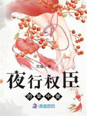 夜行權臣的掌中妻 夜行權臣的掌中妻