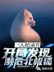 一人紀錄片:開局發現瀕危北極狐 一人紀錄片:開局發現瀕危北極狐