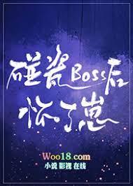 碰瓷boss後懷了崽