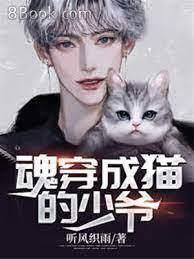 魂穿成貓的少爺 魂穿成貓的少爺