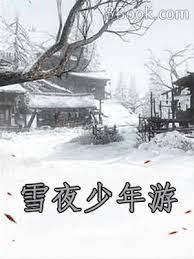 雪夜少年游 雪夜少年游