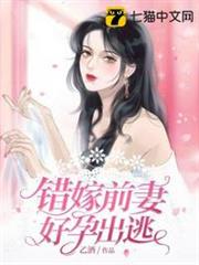 錯嫁前妻好孕出逃 錯嫁前妻好孕出逃