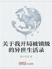 關於我開局被鎖級的異世生活錄 關於我開局被鎖級的異世生活錄