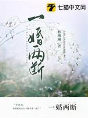 一婚兩斷 一婚兩斷