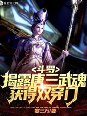 斗羅:揭露唐三武魂,獲得雙穿門 斗羅:揭露唐三武魂,獲得雙穿門