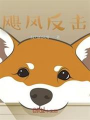 颶風反擊