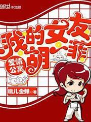 愛情公寓:我的女友胡一菲 愛情公寓:我的女友胡一菲
