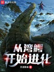 從灣鱷開始進化 從灣鱷開始進化