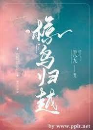 玫瑰瓣 玫瑰瓣