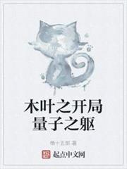木葉之開局量子之軀