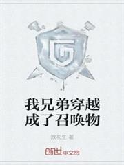 我兄弟穿越成了召喚物