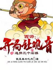 西遊:開局讓觀音選擇三個石猴 西遊:開局讓觀音選擇三個石猴