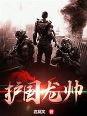 護國龍帥 護國龍帥