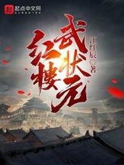 紅樓武狀元 紅樓武狀元