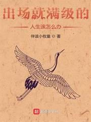 出場就滿級的人生該怎麼辦 出場就滿級的人生該怎麼辦