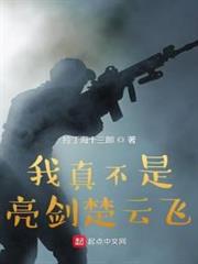 我真不是亮劍楚雲飛 我真不是亮劍楚雲飛