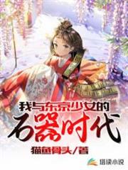 我與東京少女的石器時代 我與東京少女的石器時代