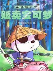 從海賊開始販賣寶可夢 從海賊開始販賣寶可夢