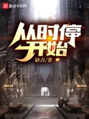 從時停開始 從時停開始