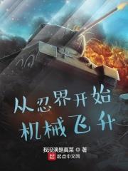 從忍界開始機械飛升 從忍界開始機械飛升