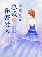 暗夜藏嬌:總裁的秘密愛人 暗夜藏嬌:總裁的秘密愛人