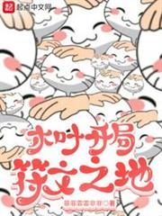木葉開局符文之地 木葉開局符文之地