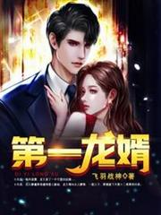 第一龍婿 第一龍婿