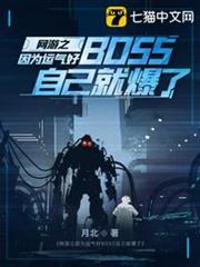網遊之因為運氣好BOSS自己就爆了 網遊之因為運氣好BOSS自己就爆了