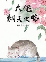 大佬翻天攻略 大佬翻天攻略