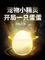 寵物小精靈開局一隻蛋蛋 寵物小精靈開局一隻蛋蛋