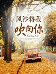 風沙將我吹向你