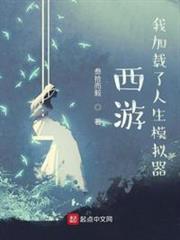 西遊：我加載了人生模擬器