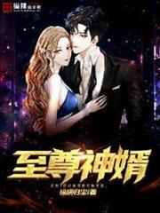 至尊神婿 至尊神婿