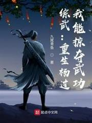 綜武:重生楊過,我能掠奪武功 綜武:重生楊過,我能掠奪武功