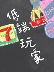 低端玩家 低端玩家