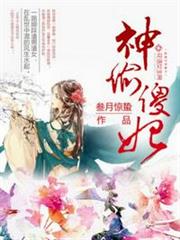 神偷傻妃 神偷傻妃
