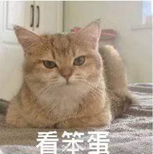 紙老虎