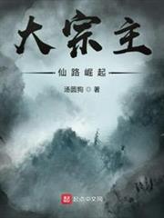 大宗主:仙路崛起 大宗主:仙路崛起