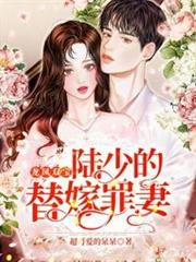 陸少的替嫁罪妻 陸少的替嫁罪妻