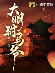 大明駙馬爺 大明駙馬爺