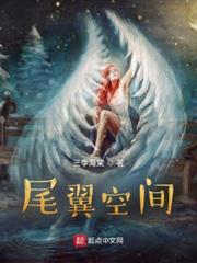 尾翼空間 尾翼空間