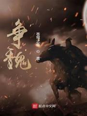 爭魏 爭魏