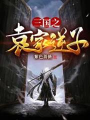 三國之袁家逆子 三國之袁家逆子