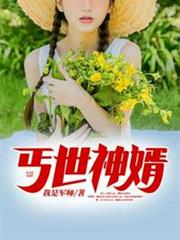 丐世神婿 丐世神婿